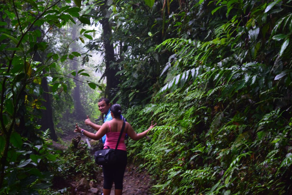 GuanacCosta Rica National Park tours