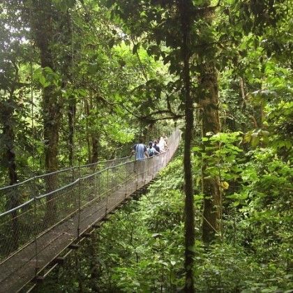 Heliconias Rain Forest Tour and Hanging Bridges - Costa Rica Best Trips