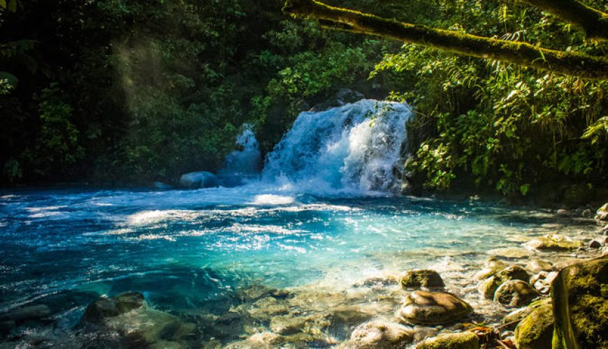 Costa Rica shuttles in Sensoria Forest
