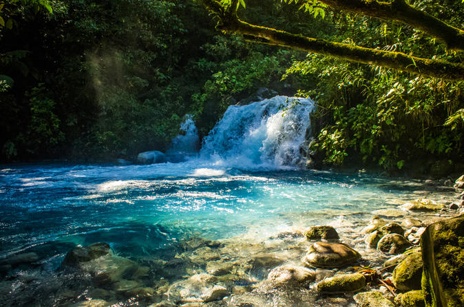 Costa Rica shuttles in Sensoria Forest