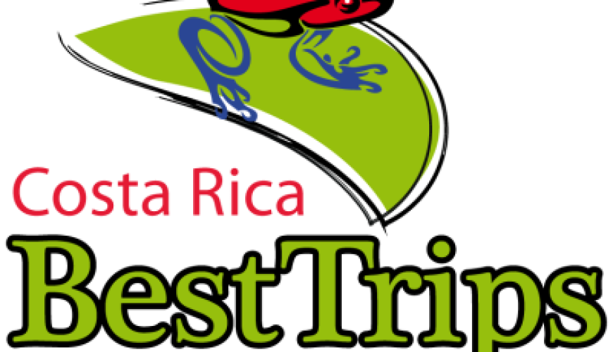 Dreams Las Mareas Resort Private Tours and Transfers