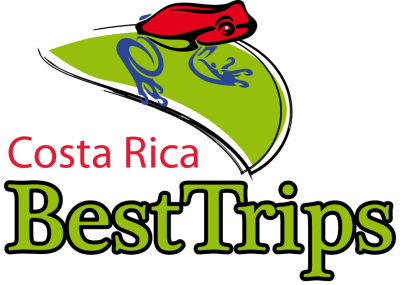 Dreams Las Mareas Resort Private Tours and Transfers