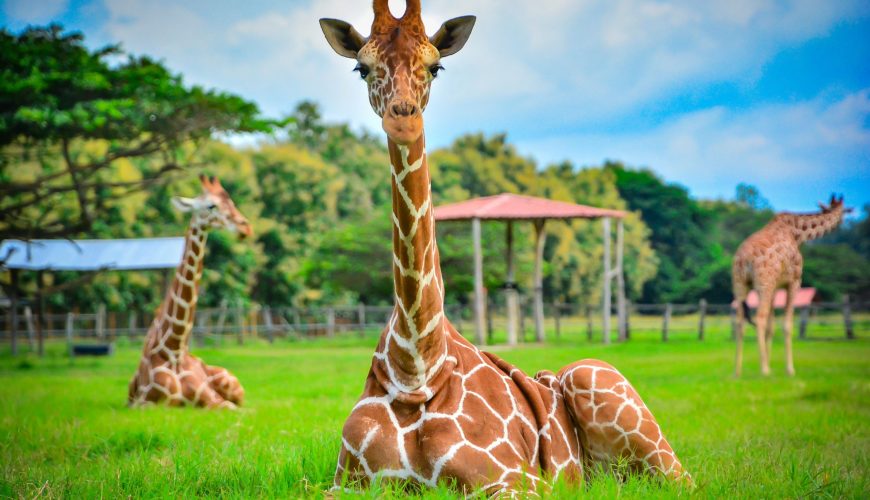 Costa Rica guided tours to Ponderosa Adventure Park