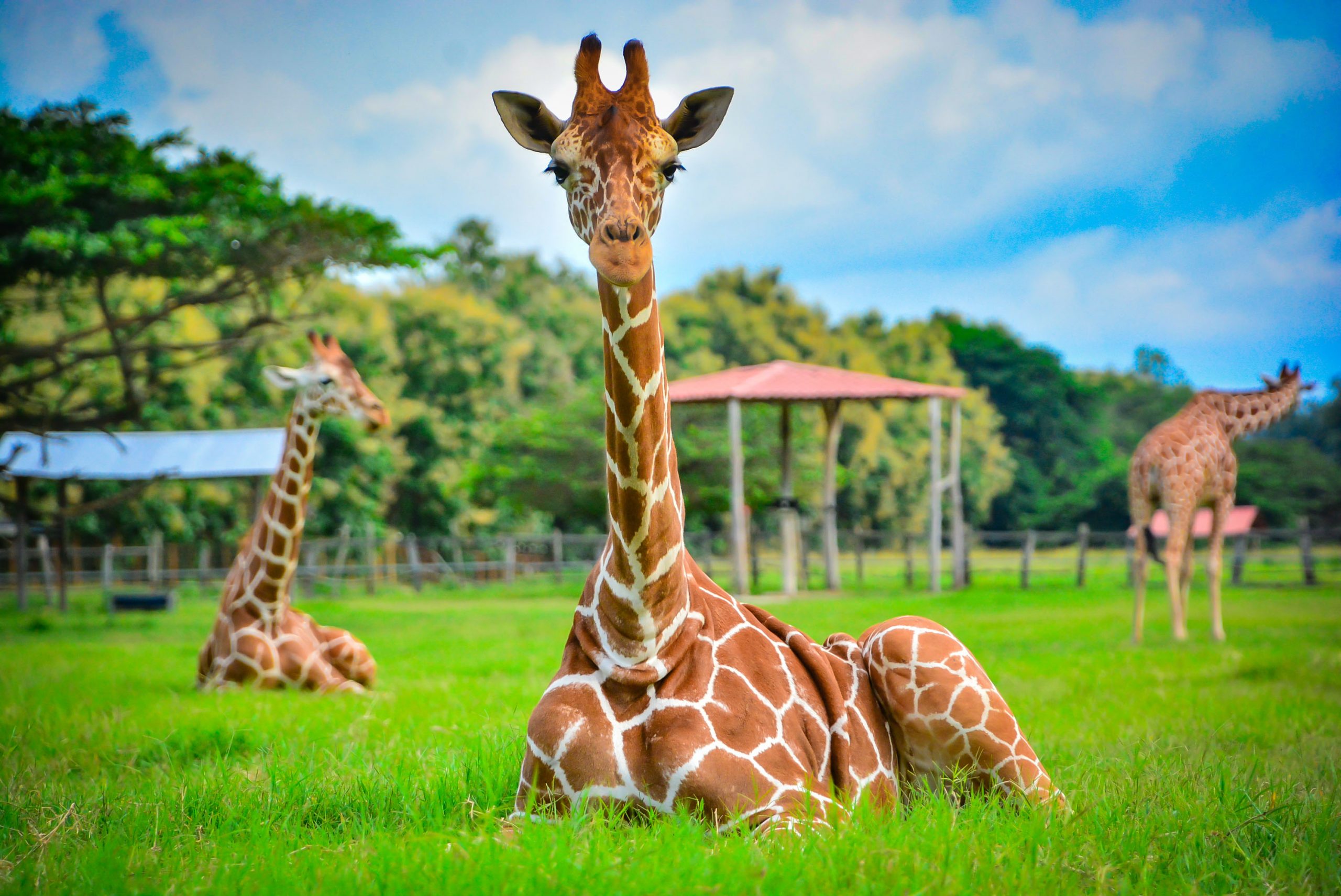 Costa Rica guided tours to Ponderosa Adventure Park