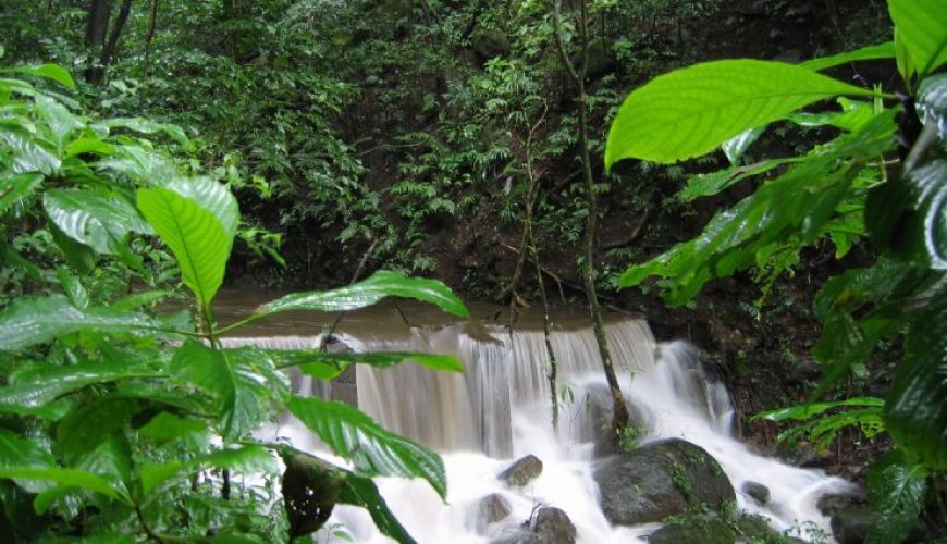 Rincón de la Vieja National Park