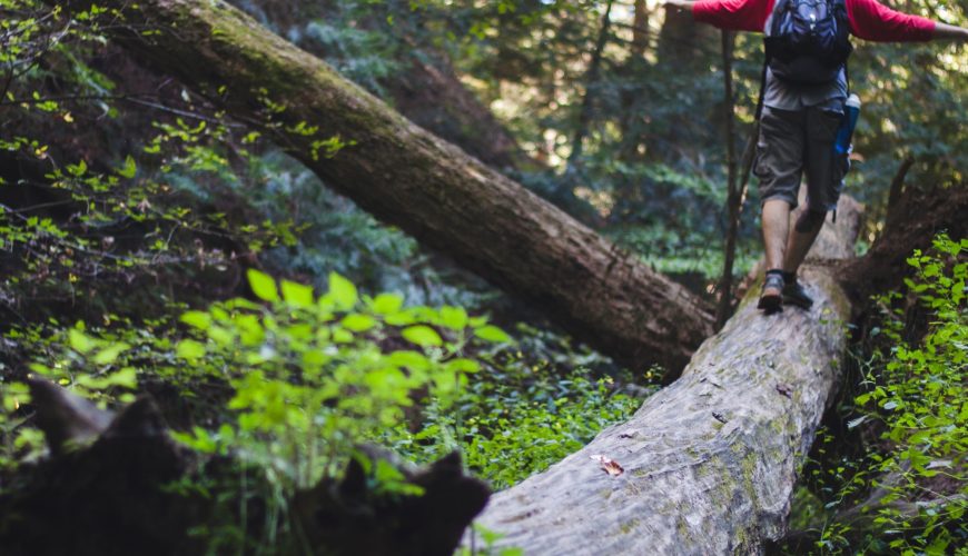 Some activities to do near Liberia Airport