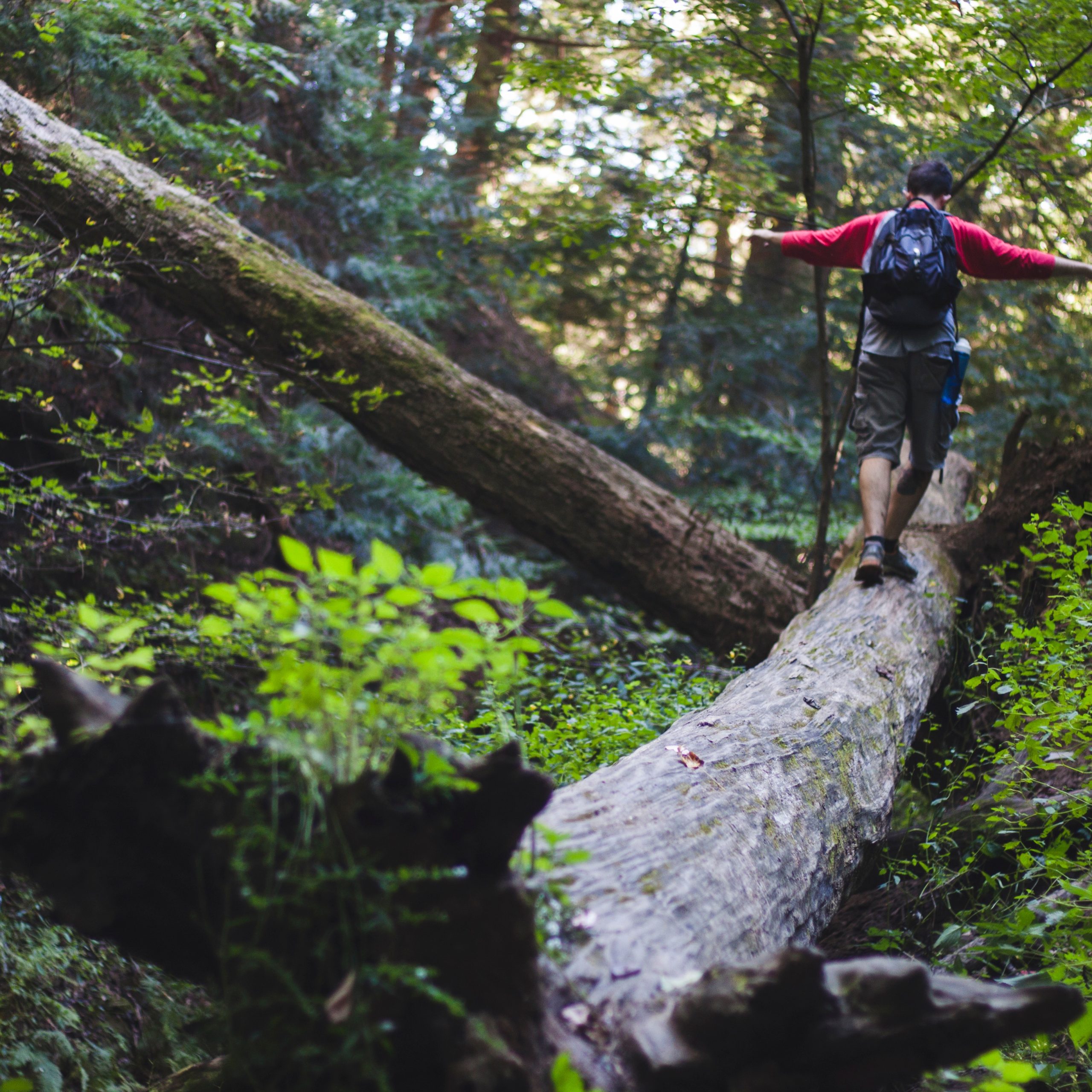 Some activities to do near Liberia Airport
