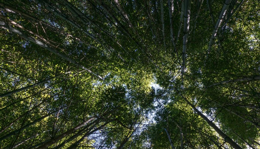 Costa Rica Vacations: Compilation best tourism tips