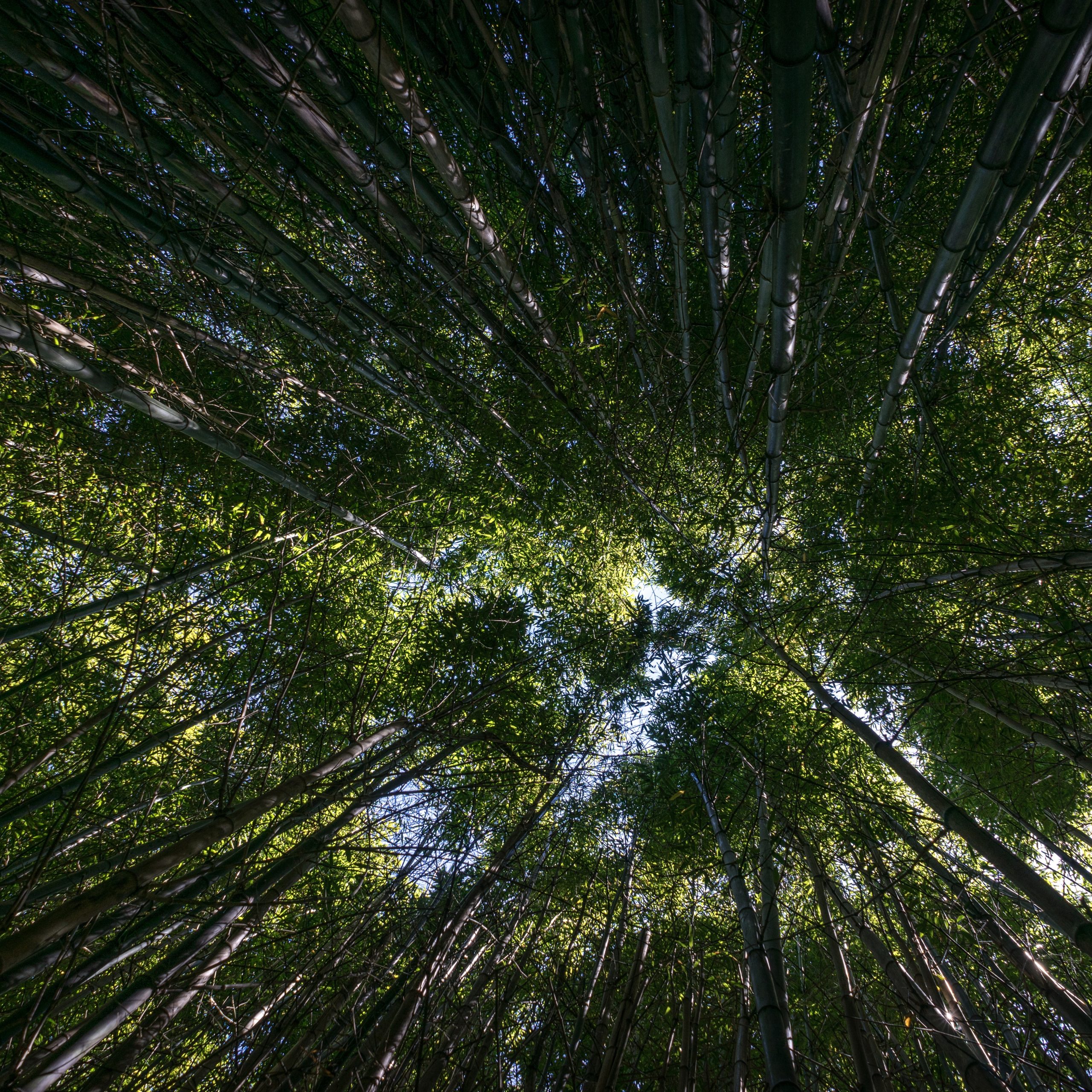 Costa Rica Vacations: Compilation best tourism tips