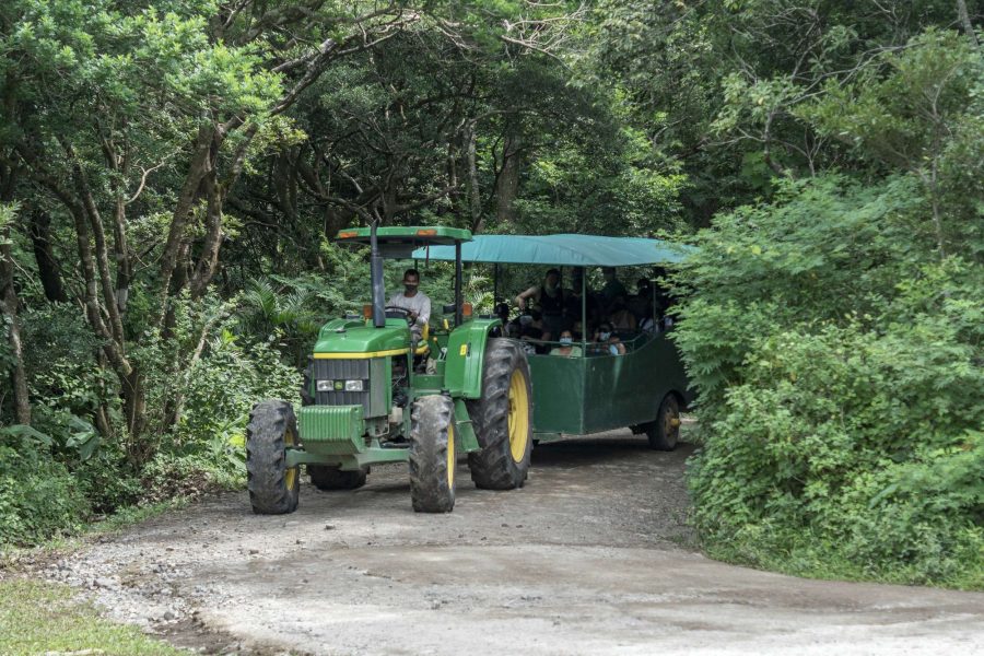 Buena Vista Mega Combo Tour