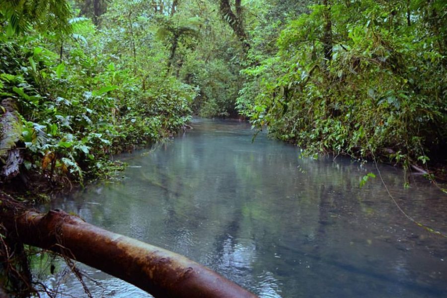 Rio Celeste Hiking Tour